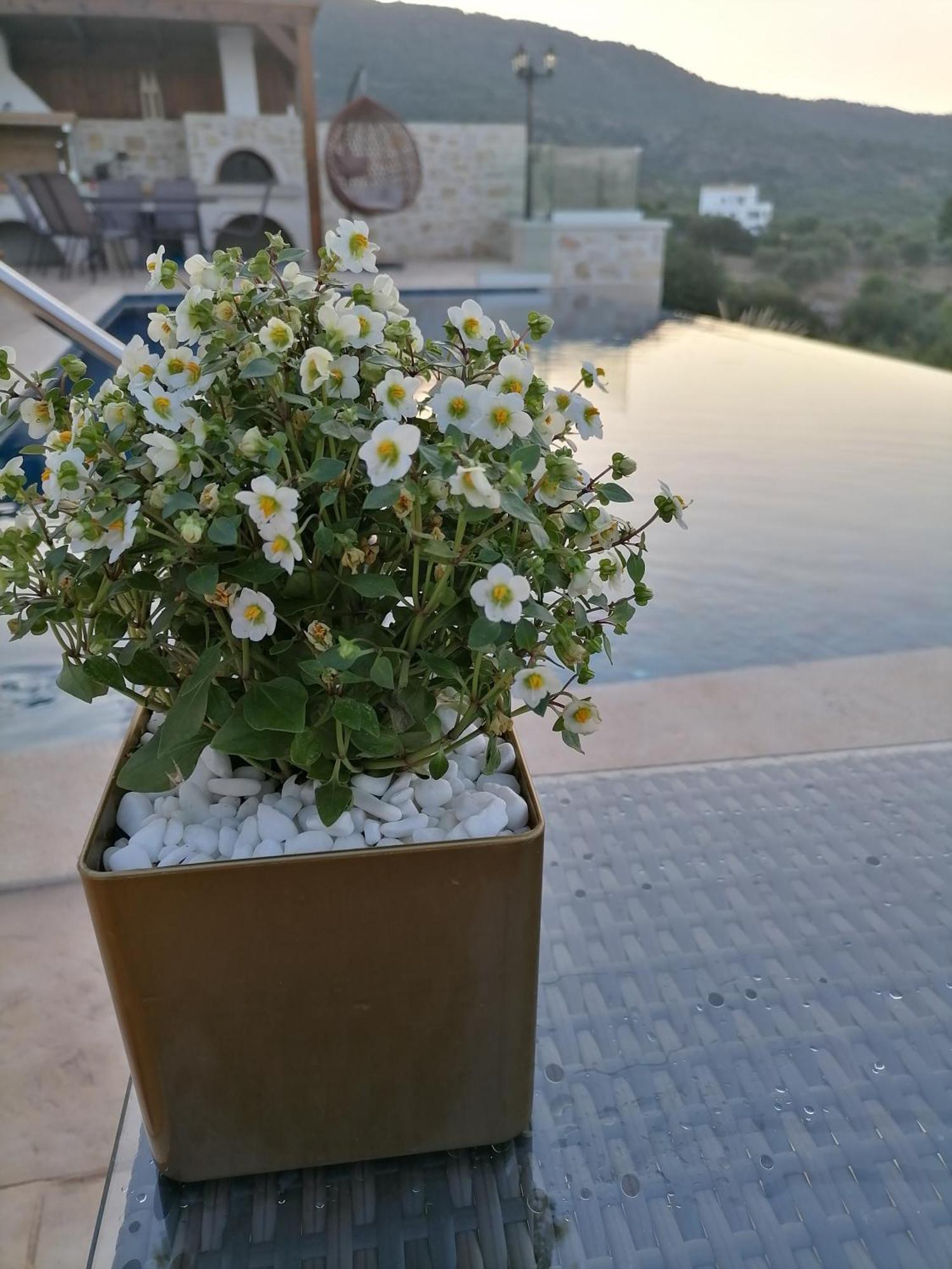 Villa Halepouri Chania  Ngoại thất bức ảnh